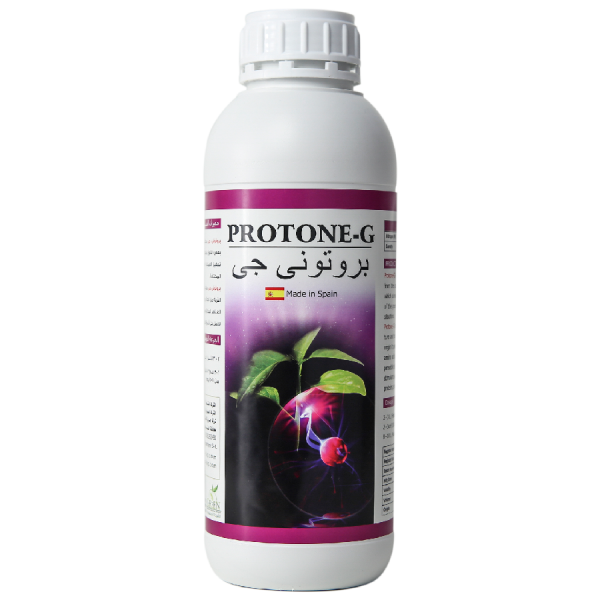PROTONE-G