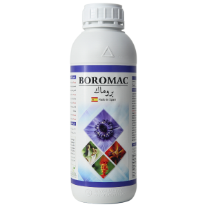 BOROMAC
