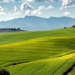 Lush green fields under a blue sky with distant mountains.